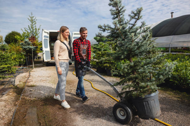 Best Tree Trimming Near Me  in Cayce, SC